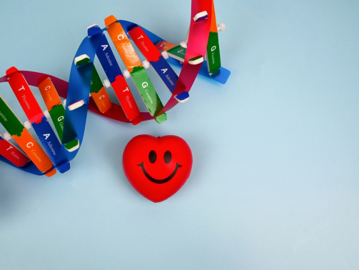 dna and smiling heart