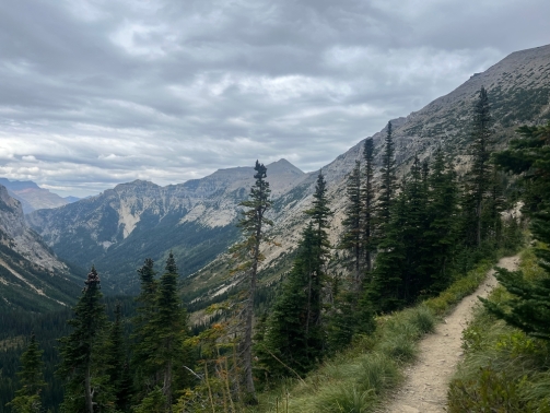 hiking trail with mountain background