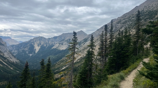 hiking trail with mountain background