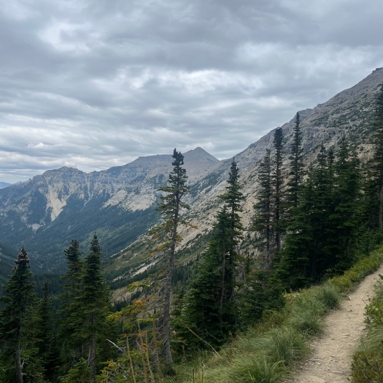 hiking trail with mountain background